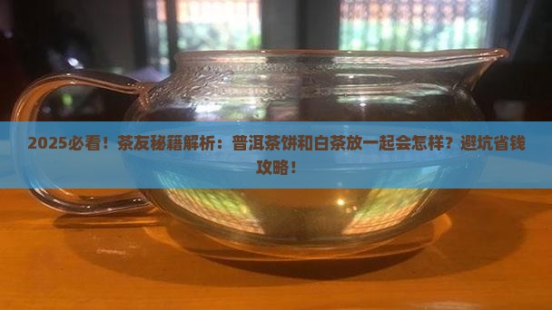 普洱茶饼白茶放一起