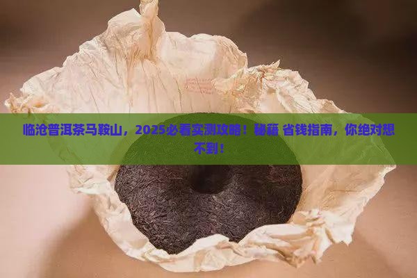 临沧普洱茶马鞍山