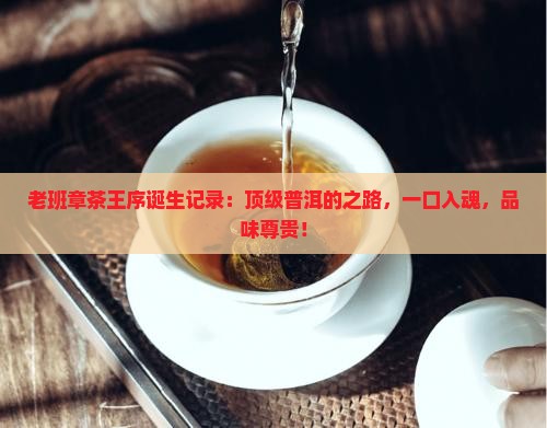 老班章茶王序诞生记录