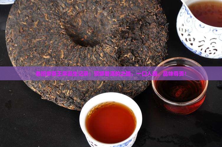 老班章茶王序诞生记录