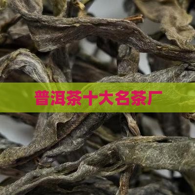普洱茶十大名茶厂