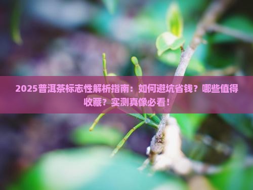 普洱茶标志性品牌