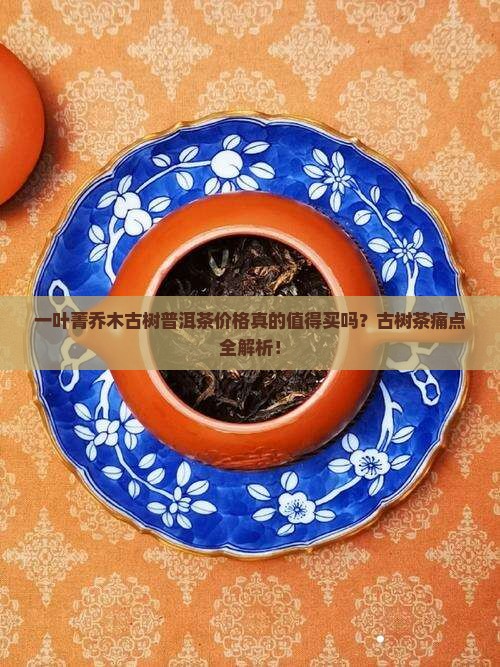 一叶菁乔木古树普洱茶价格