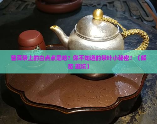 普洱茶上的白点点是啥