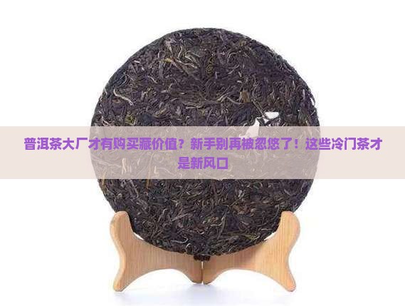 普洱茶大厂才有购买藏价值