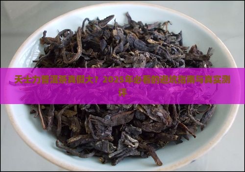 天士力普洱茶真假