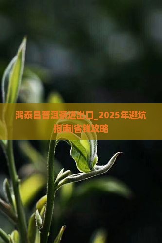 鸿泰昌普洱茶进出口