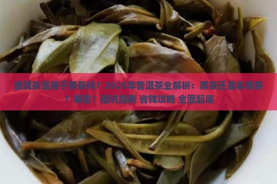 普洱茶是属于黑茶吗