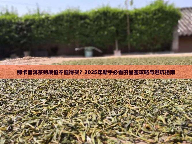 品那卡普洱茶介绍