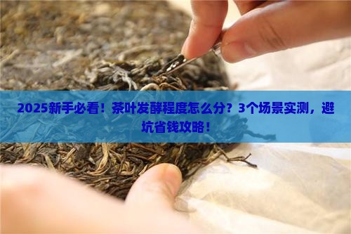 茶叶根据发酵程度分为