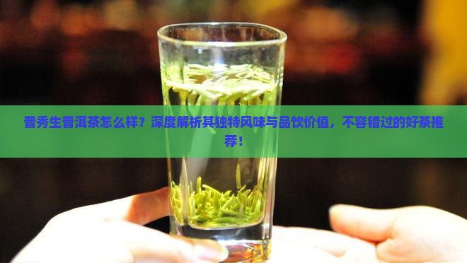 普秀生普洱茶怎么样