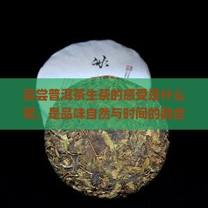 品尝普洱茶生茶的感受是什么