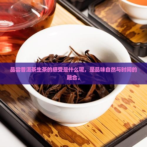 品尝普洱茶生茶的感受是什么