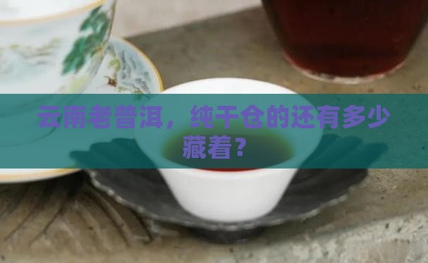 云南纯干仓老普洱茶多吗
