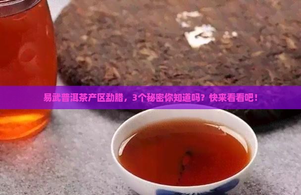 易武普洱茶产区勐腊