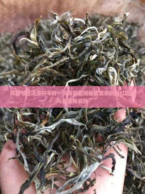 双花号普洱茶好不好