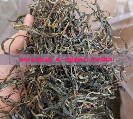 中茶6星熟普洱茶