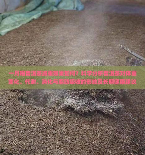 喝一月普洱茶能减多少