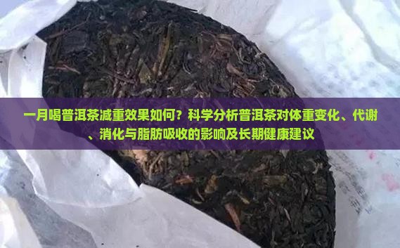 喝一月普洱茶能减多少
