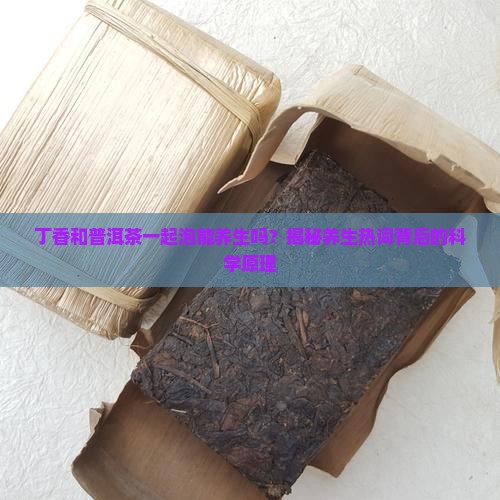 丁香和普洱茶一起泡