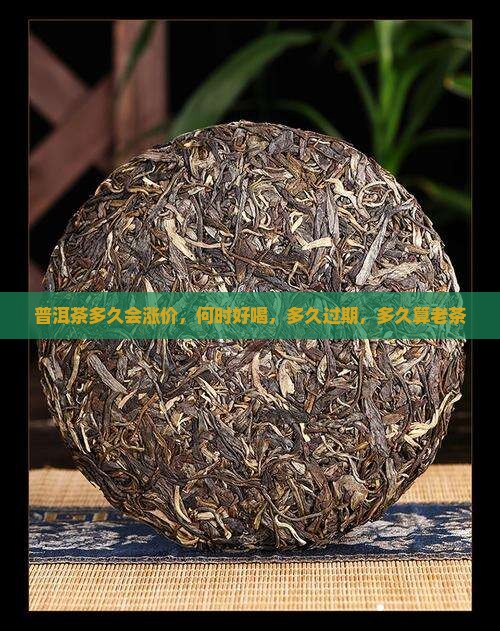 普洱茶多久会涨价