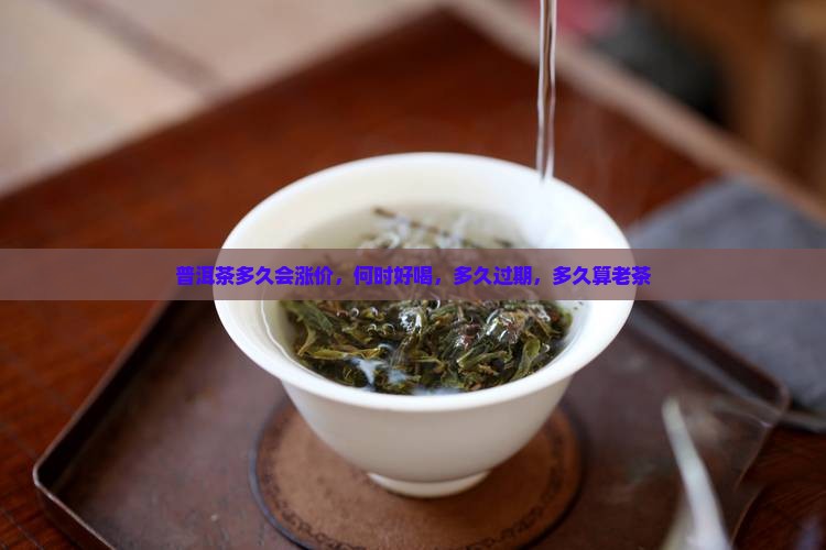 普洱茶多久会涨价