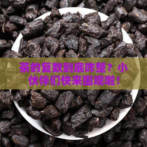 茶的复数形式是什么
