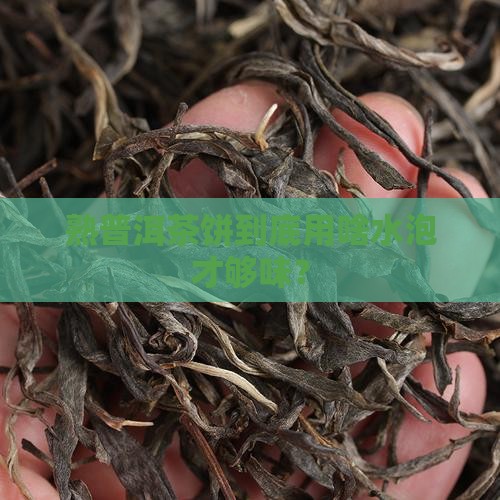 熟普洱茶饼用什么水泡好