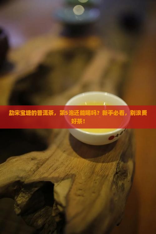 勐宋宝塘的普洱茶