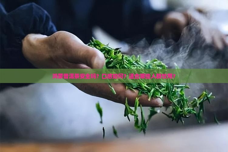 鸿蒙普洱茶能喝吗