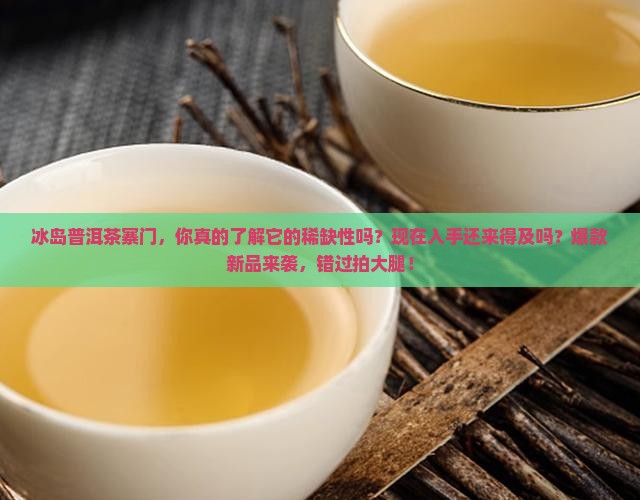 冰岛普洱茶寨门