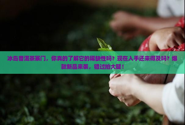 冰岛普洱茶寨门