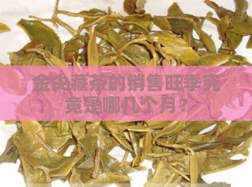 金尖藏茶几月是旺季