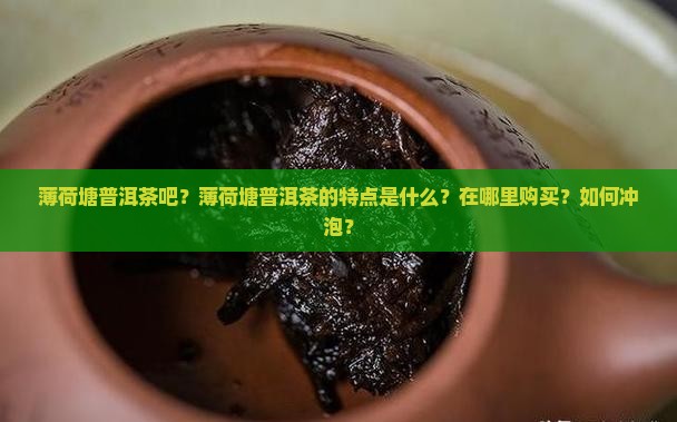 薄荷塘普洱茶吧
