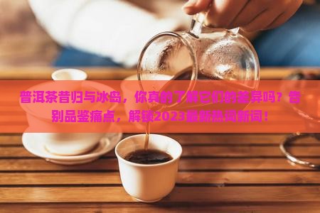 普洱茶昔归与冰岛