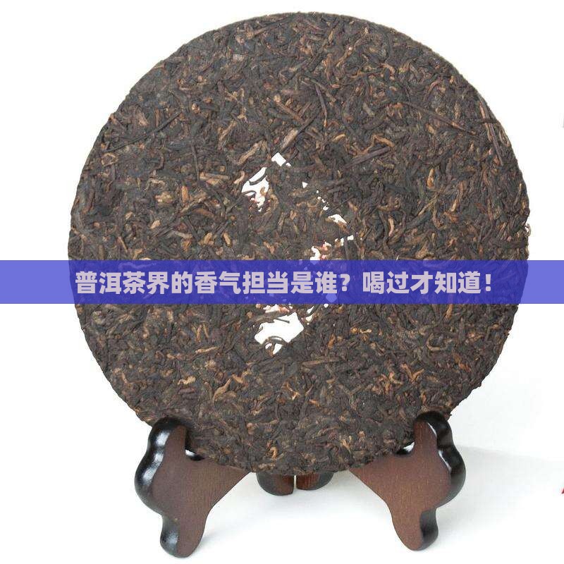 普洱茶哪个香茶好