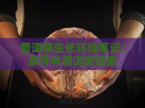 普洱茶的生长环境笔记