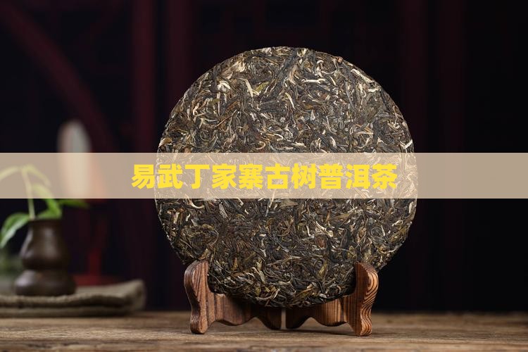 云南易武丁家寨古树普洱茶