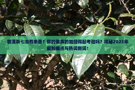 普洱茶七泡有余香