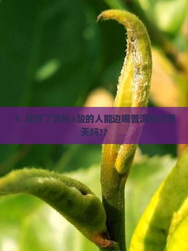 服用异维a酸能喝普洱茶吗