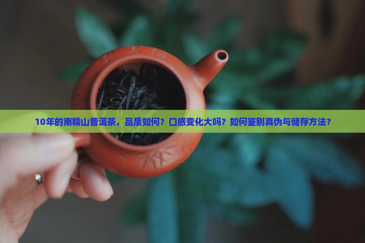 10年的南糯山普洱茶