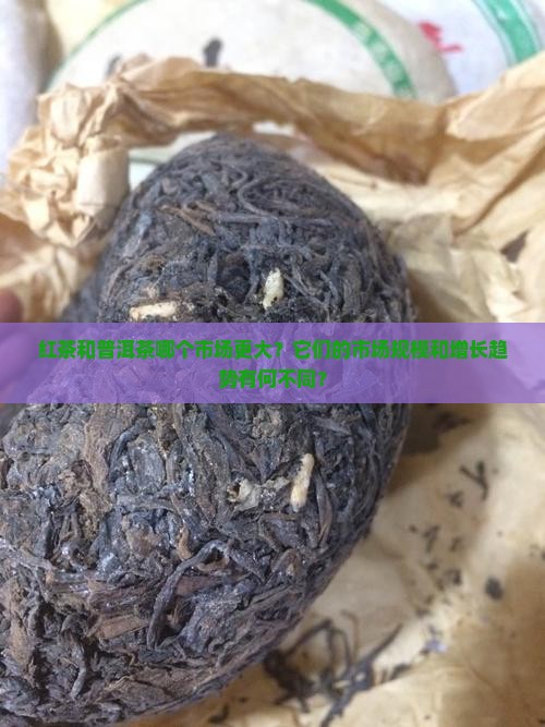 红茶和普洱茶哪个市场大