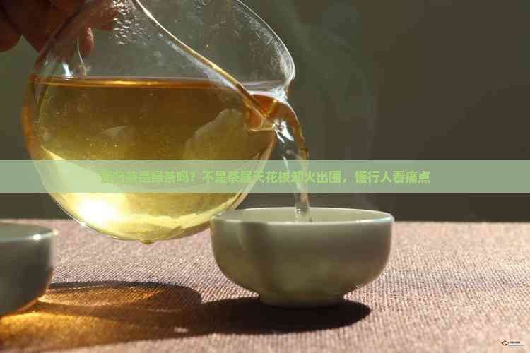 昔归茶是绿茶吗