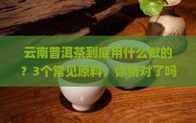 云南普洱茶以什么为原料