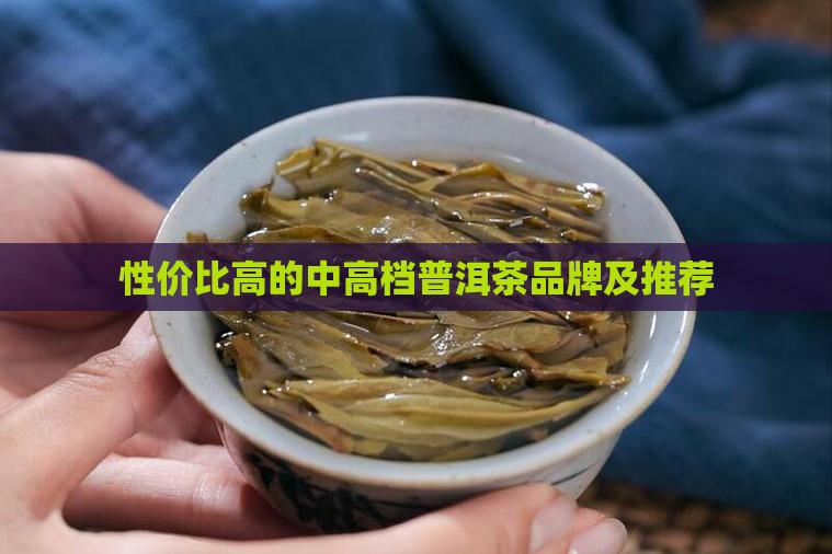 性价比高的中高档普洱茶