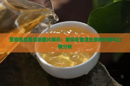至尊茗品普洱茶