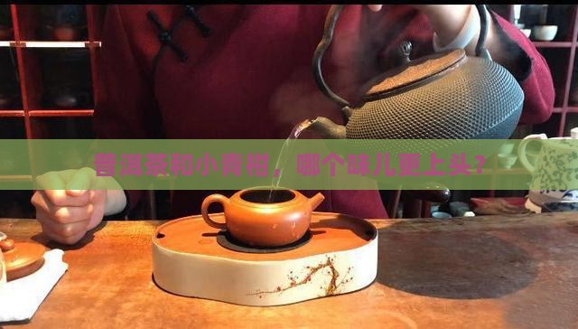 普洱茶和小青柑味道区别