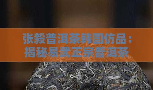 张毅普洱茶韩国仿品
