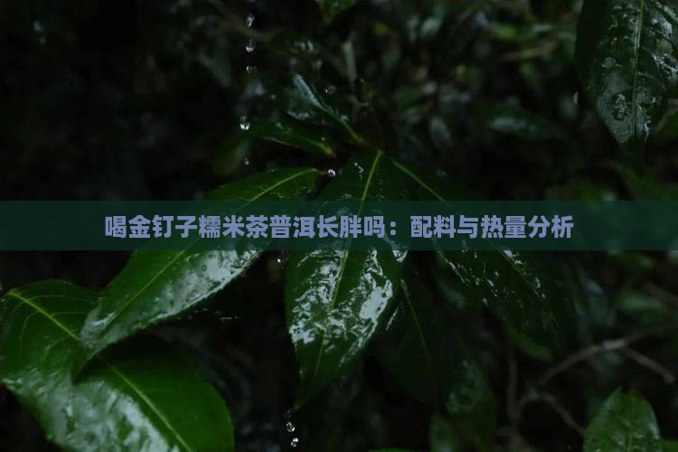 喝金钉子糯米茶普洱长胖吗