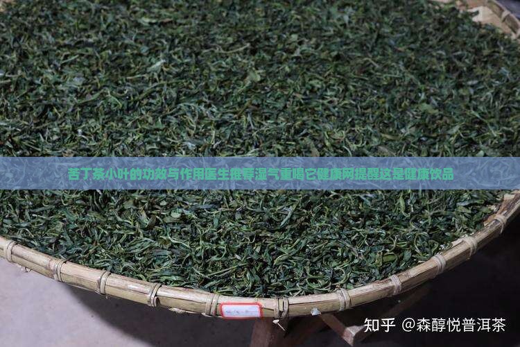 云南小叶苦丁茶有除湿效果吗